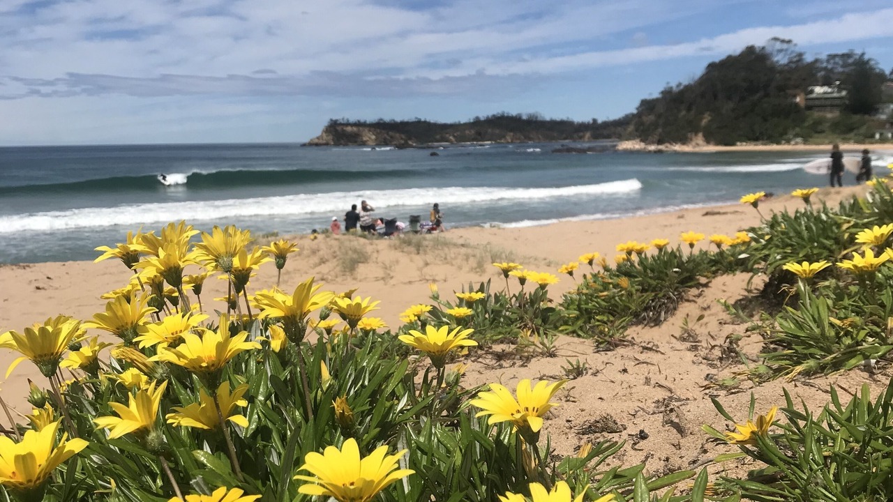 Photo of Others in Malua Bay