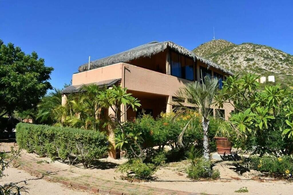 Photo of Others in Cabo Pulmo