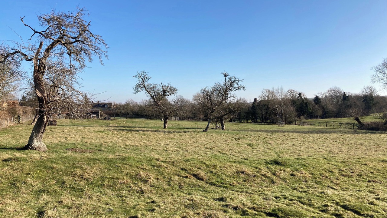 Photo of Others in Ilmington