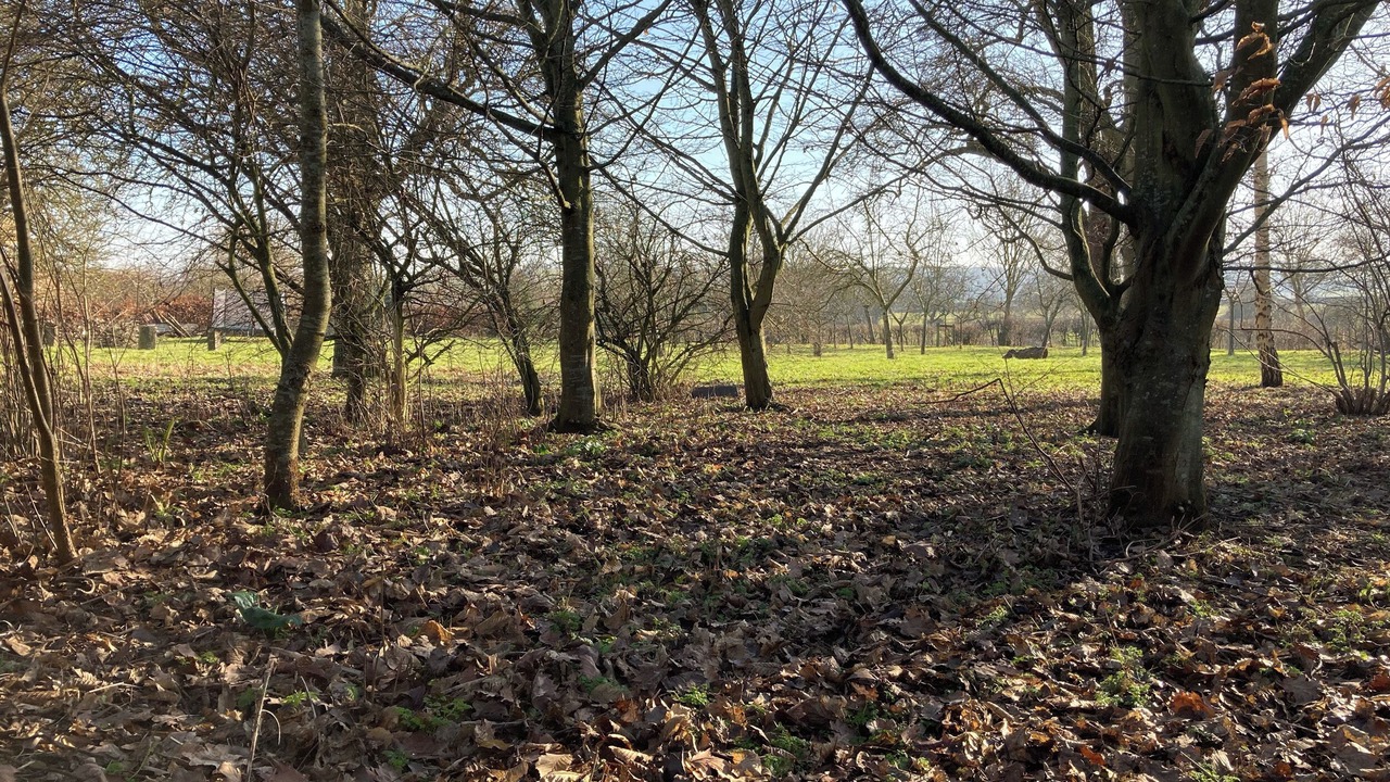 Photo of Others in Ilmington