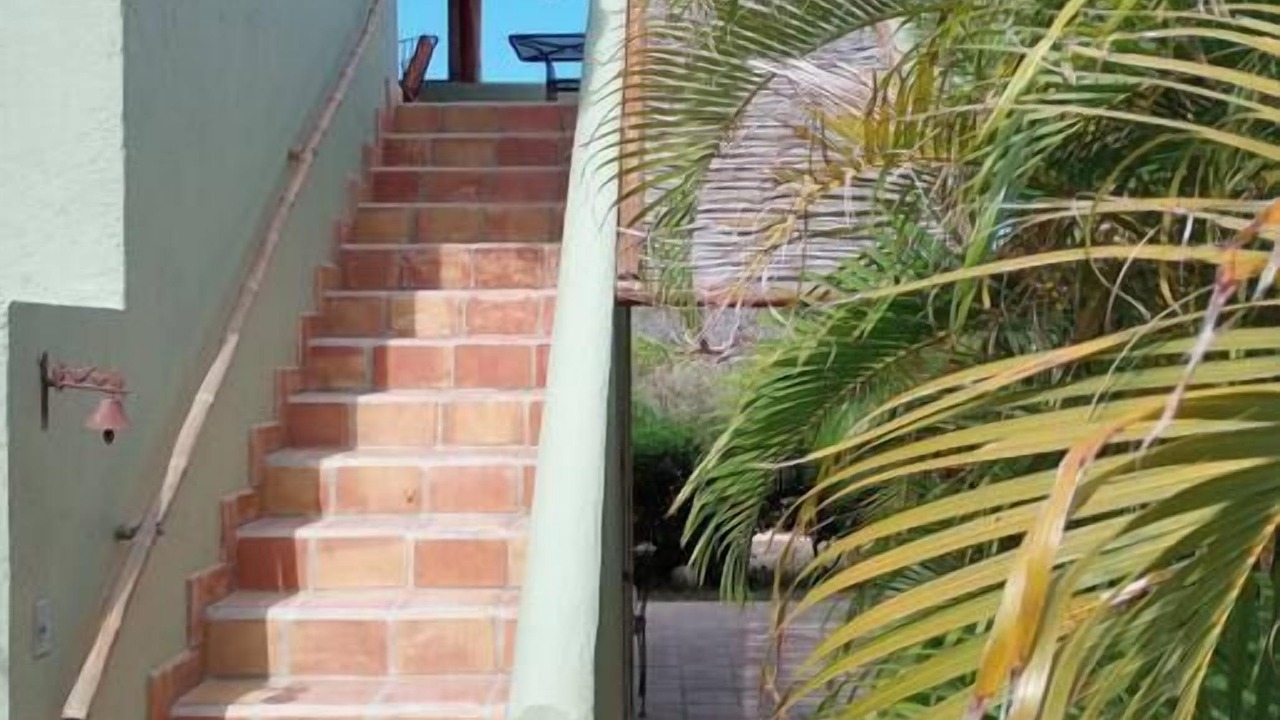 Photo of Others in Cabo Pulmo