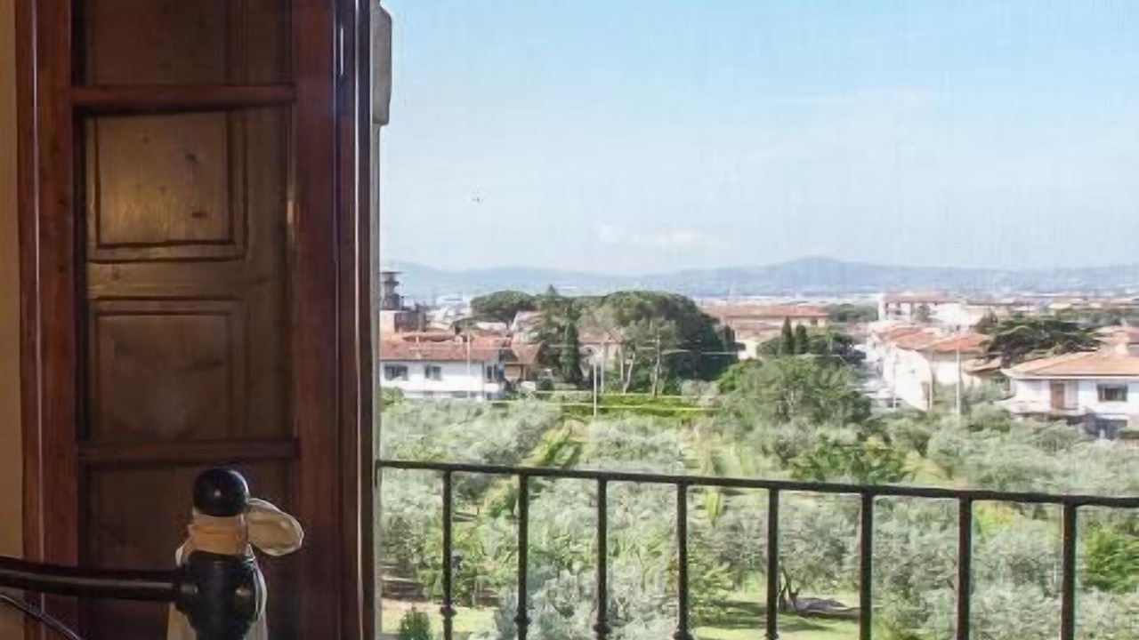Photo of Others in Sesto Fiorentino