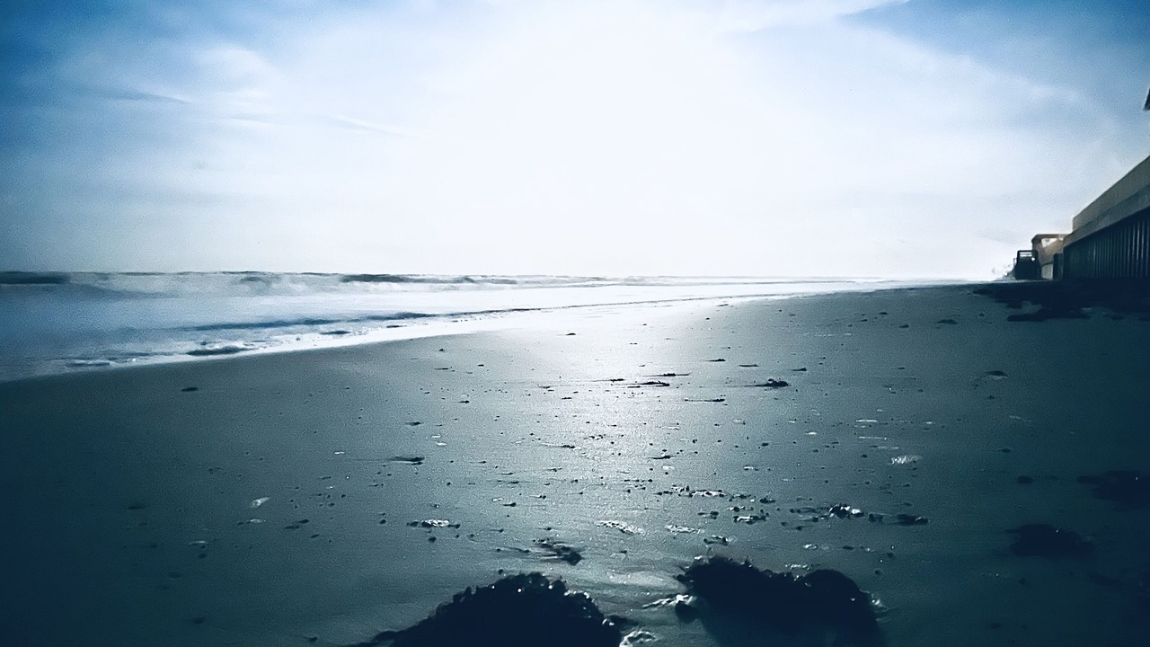Photo of Others in New Smyrna Beach