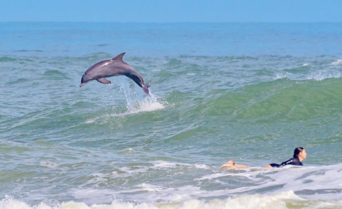 Photo of Others in New Smyrna Beach