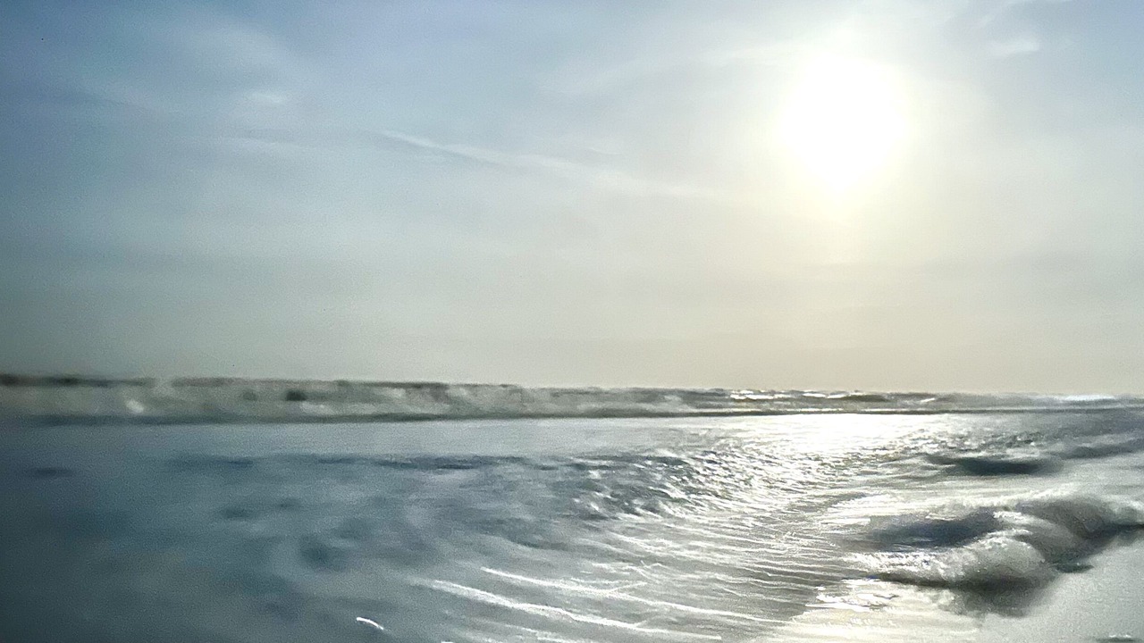 Photo of Others in New Smyrna Beach