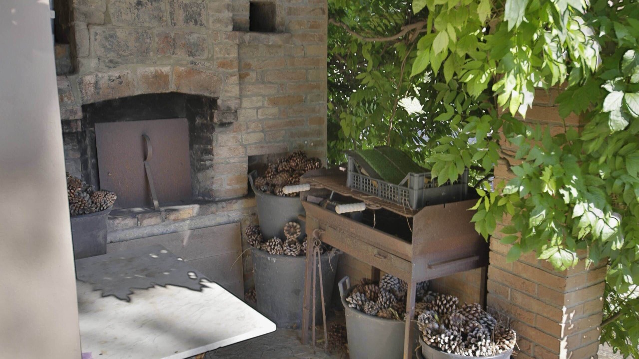 Photo of Outdoor in Palaia