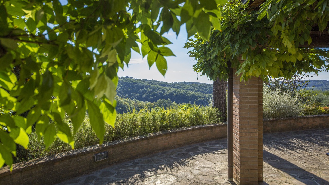 Photo of Outdoor in Palaia