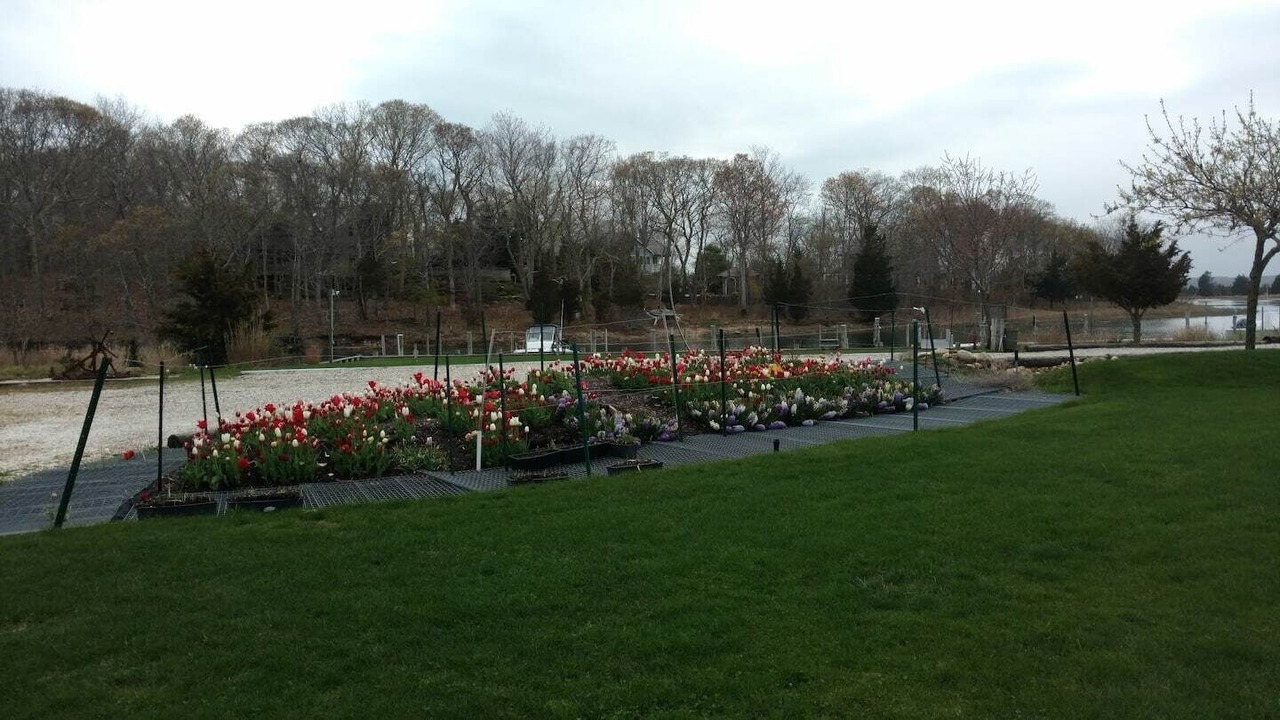 Photo of Outdoor in Springs