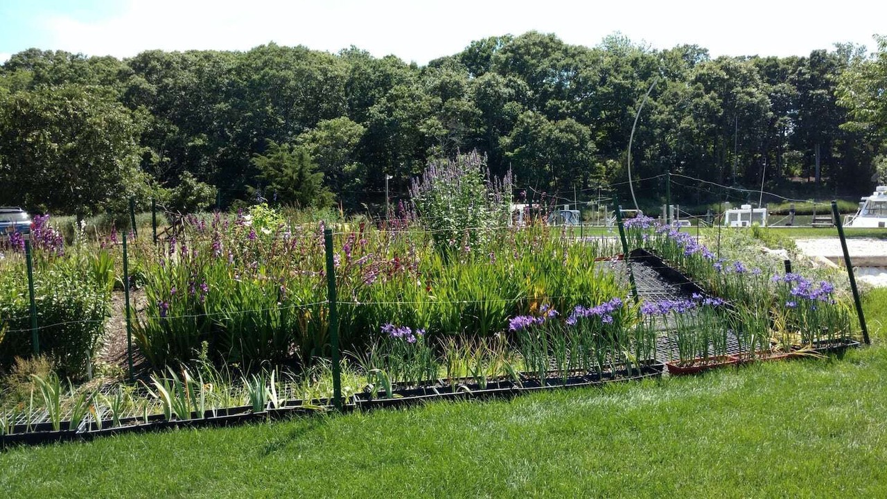 Photo of Outdoor in Springs