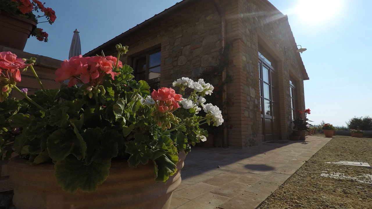Photo of Outdoor in Casole d'Elsa