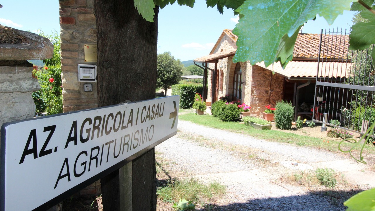 Photo of Outdoor in Casole d'Elsa
