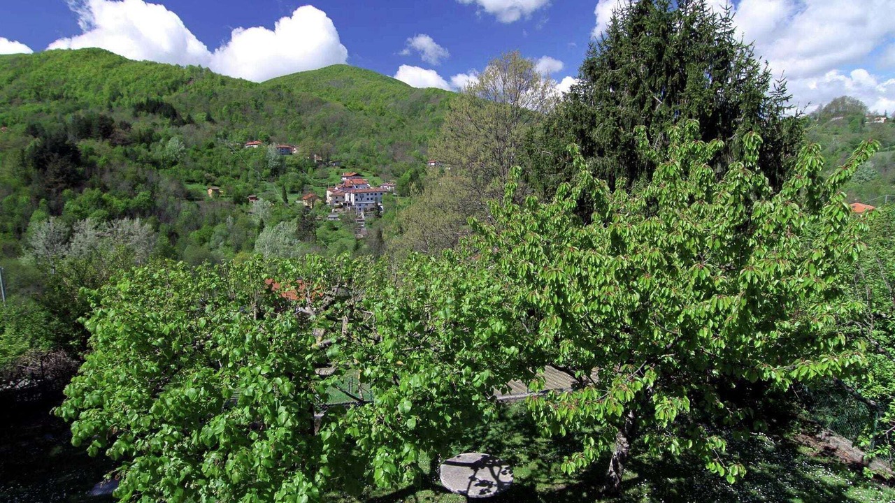 Photo of Others in Bardalone