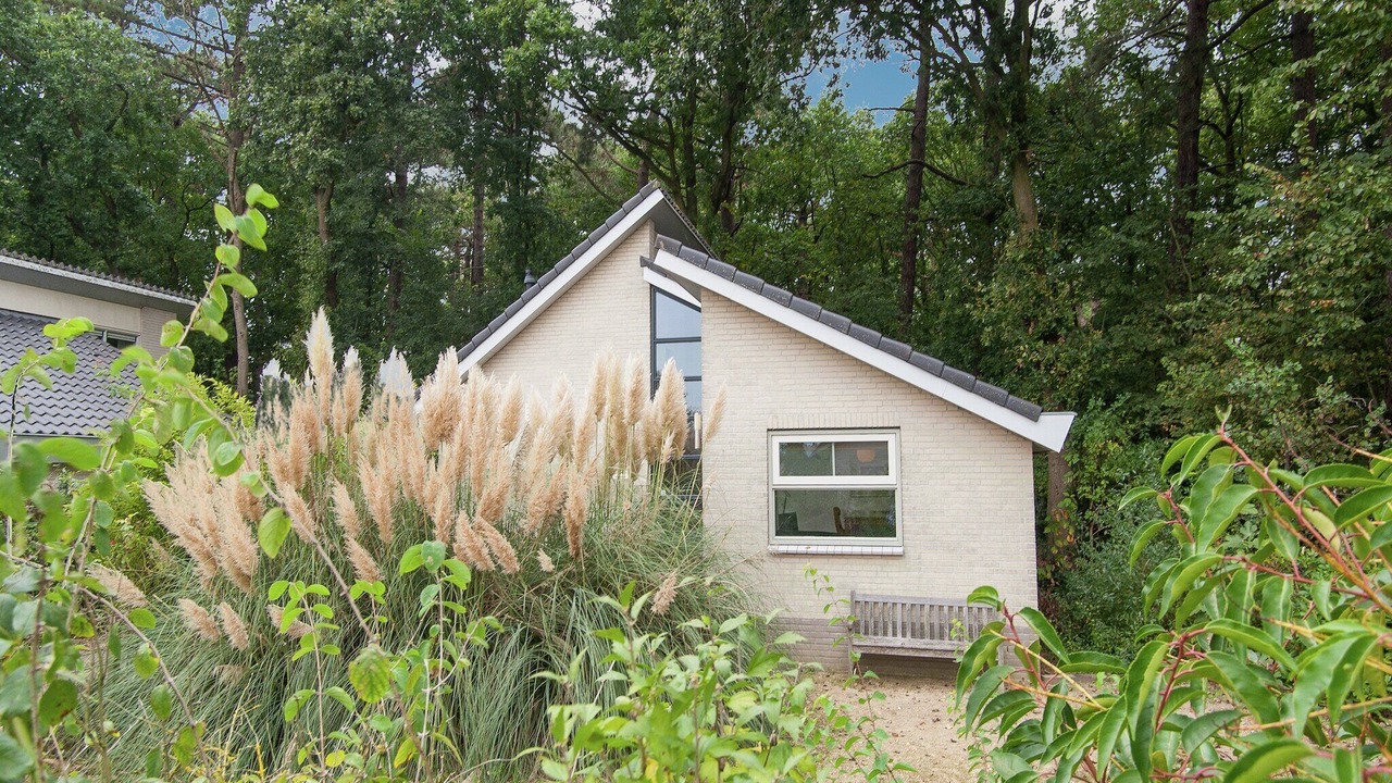 Photo of Outdoor in Schoorldam