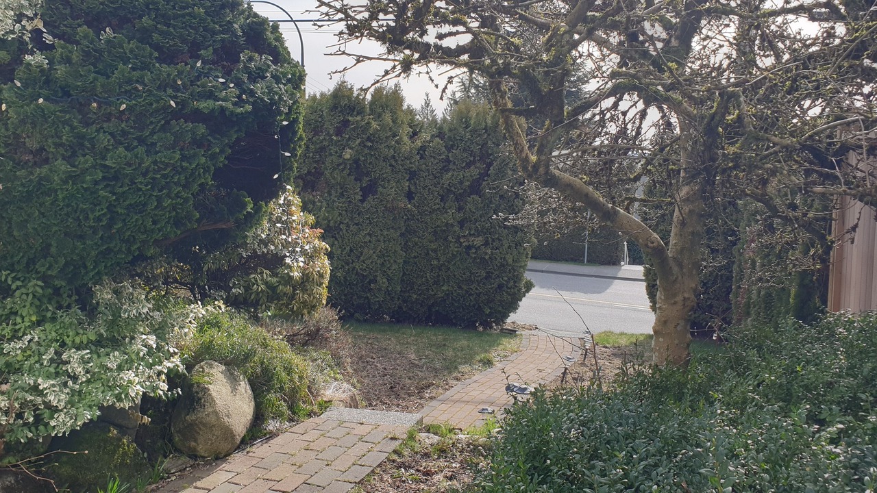 Photo of Outdoor in Hollyburn