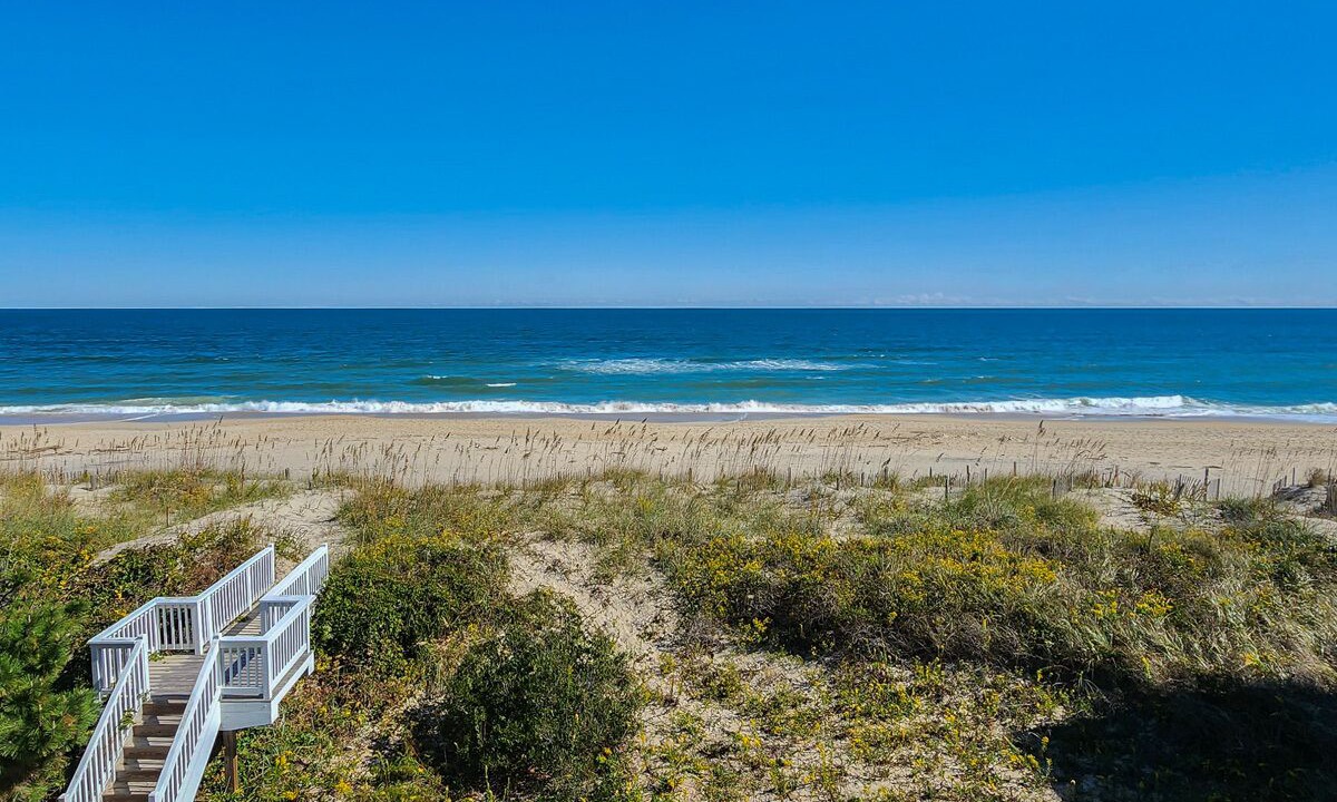 Photo of Others in Carolina Dunes