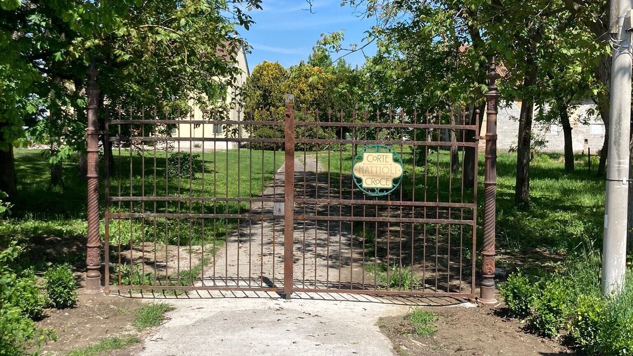 Photo of Outdoor in Gonzaga