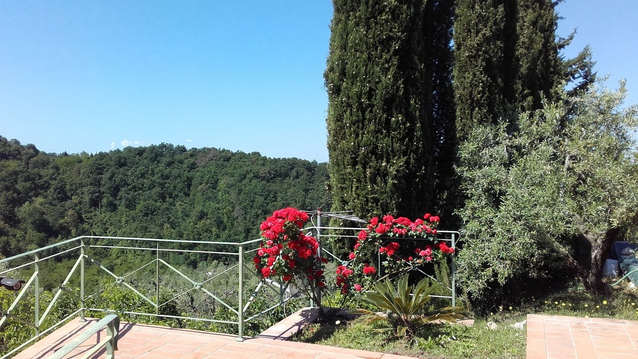 Photo of Outdoor in Montecastello
