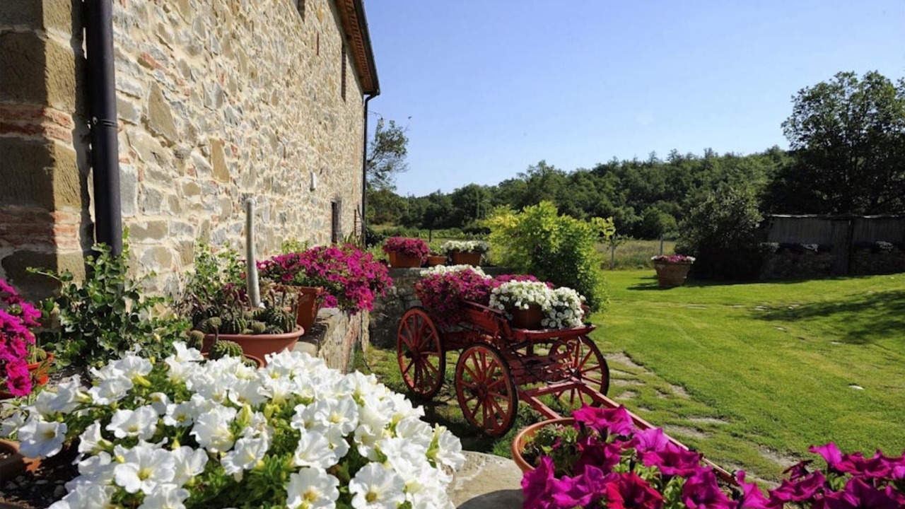 Photo of Outdoor in Bucine