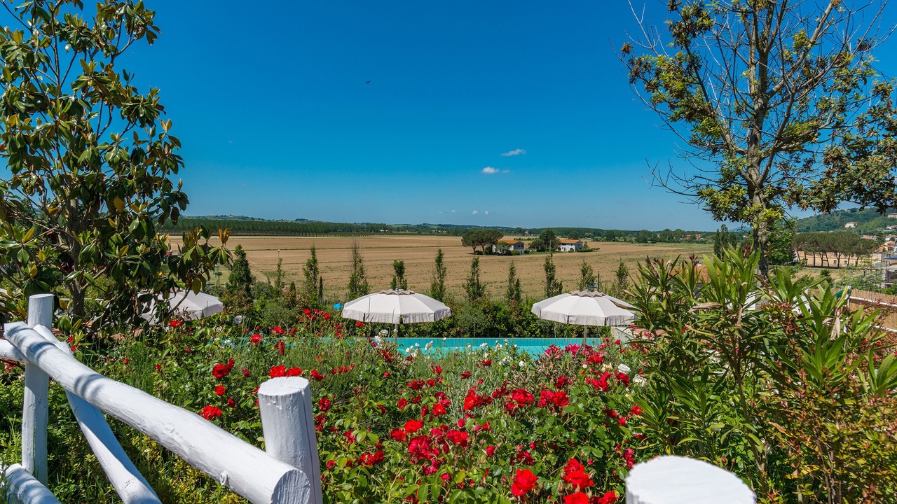 Photo of Outdoor in Palaia