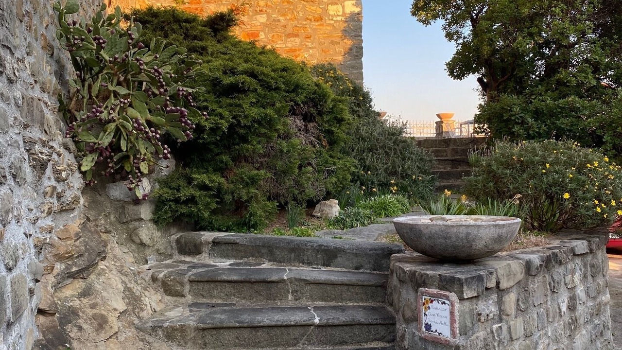 Photo of Outdoor in Masero
