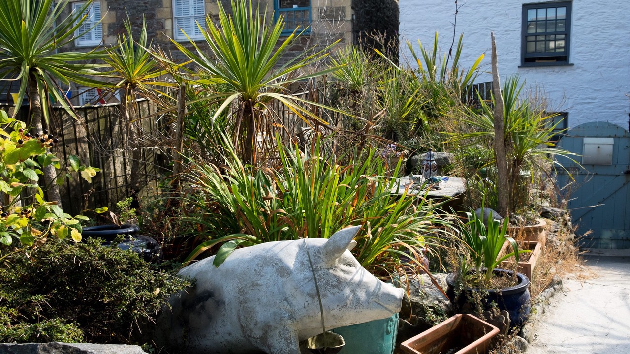 Photo of Outdoor in Gorran Haven