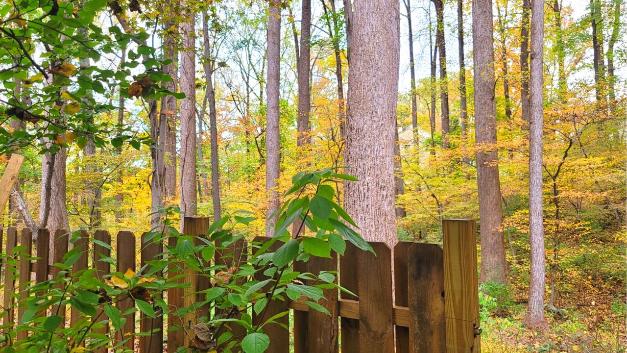 Photo of Outdoor in Simpsonville