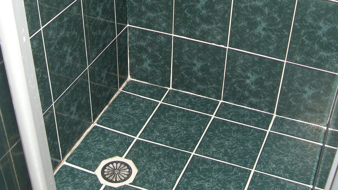 Photo of Bathroom in Palmerston