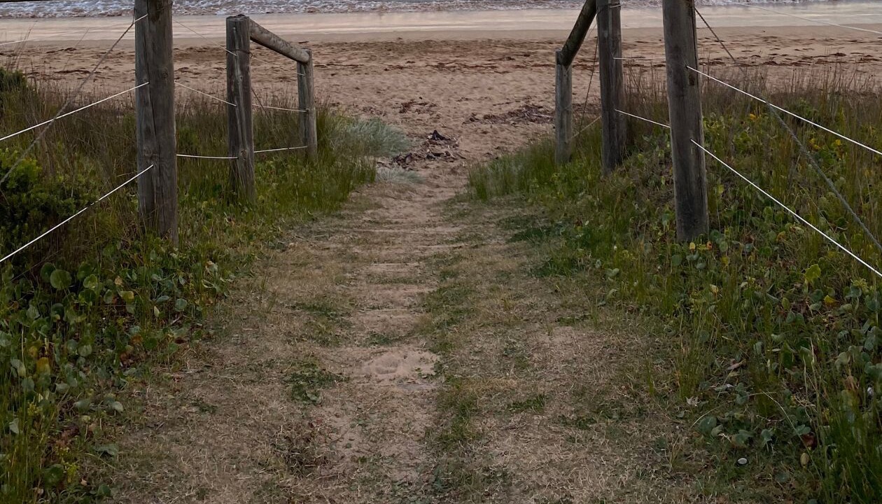Photo of Others in Maloneys Beach