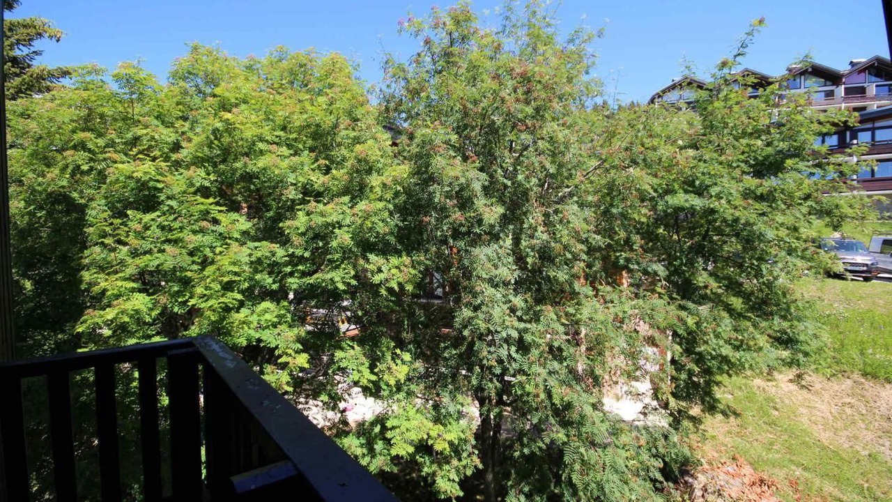 Photo of Outdoor in Les Saisies