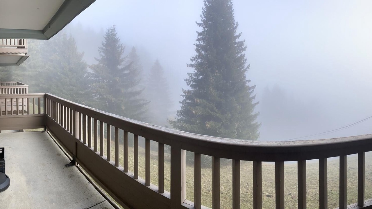 Photo of Outdoor in Bisanne 1500