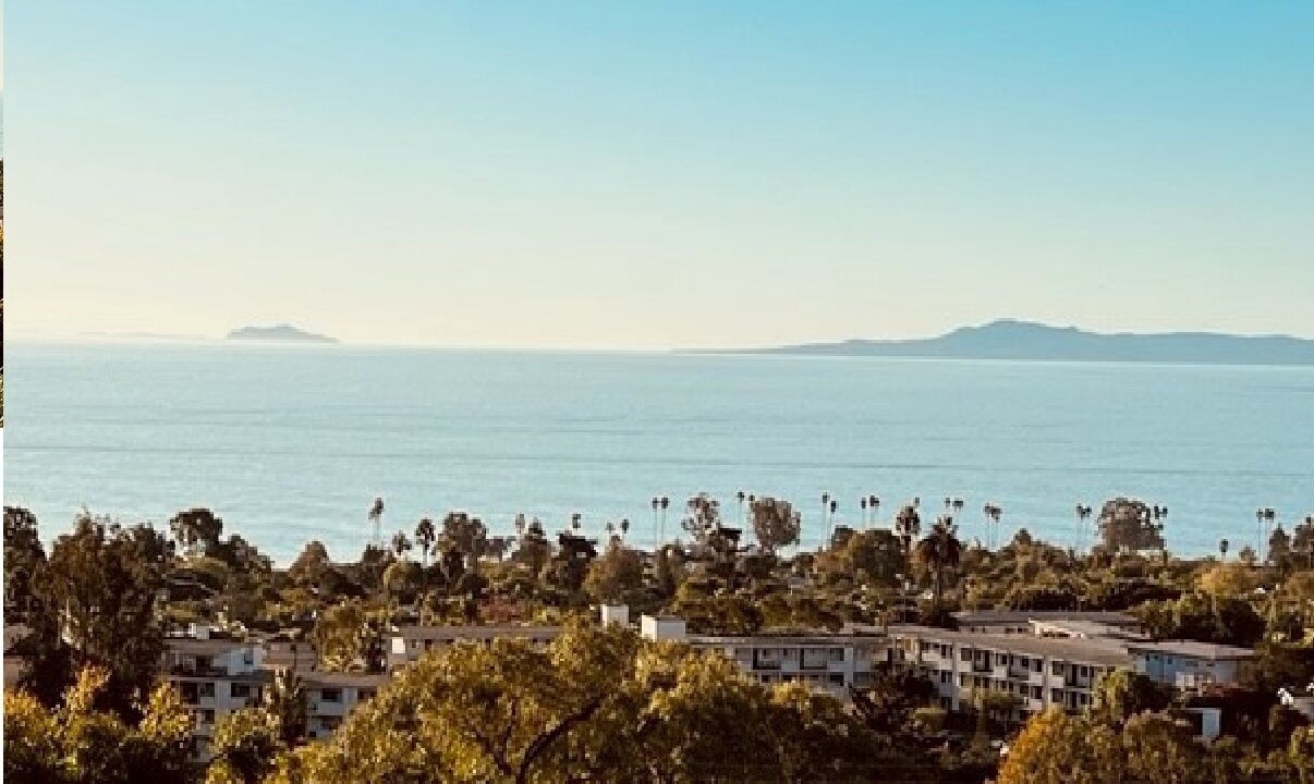 Photo of Others in Alta Mesa