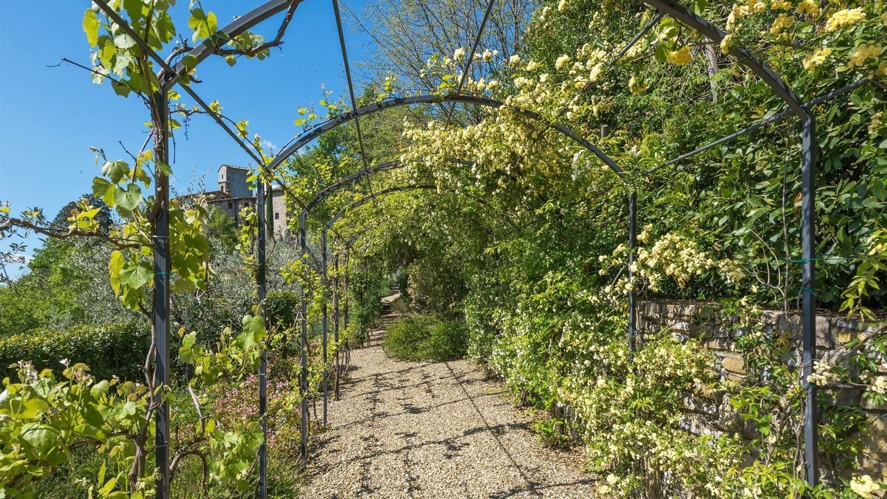 Photo of Outdoor in Neri