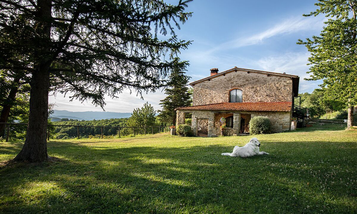 Photo of Outdoor in Londa