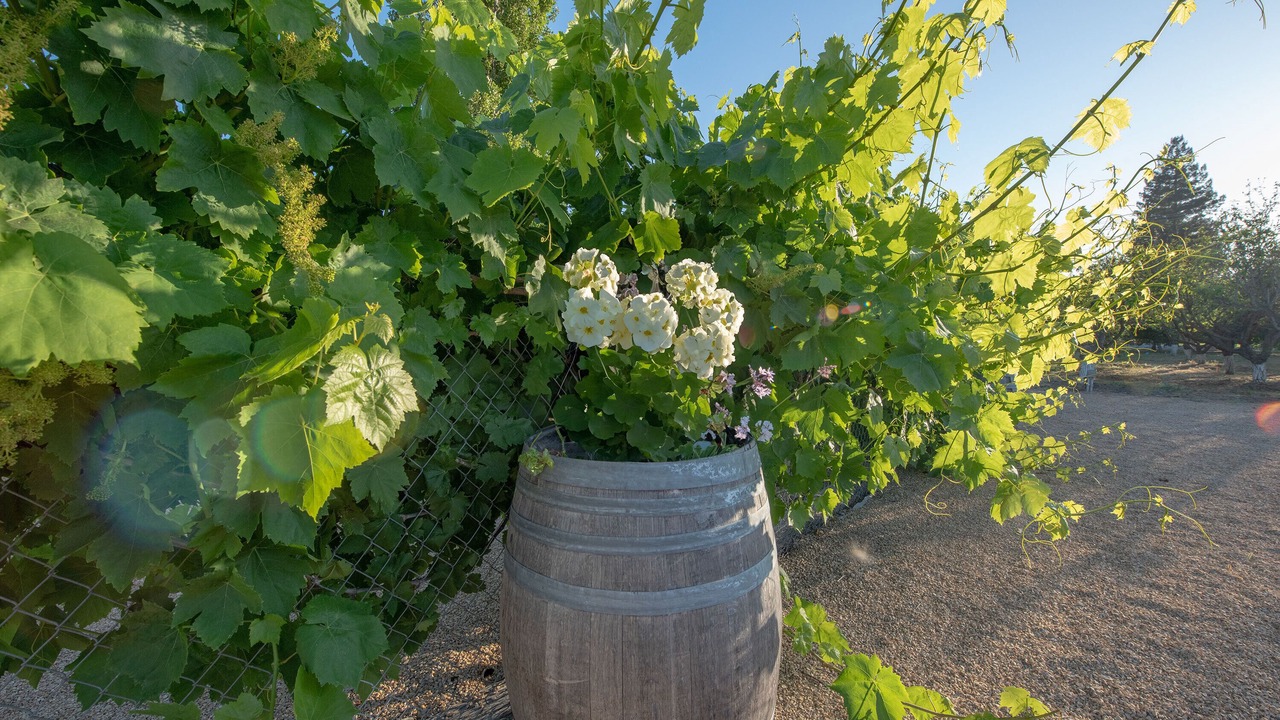 Photo of Outdoor in Ojai
