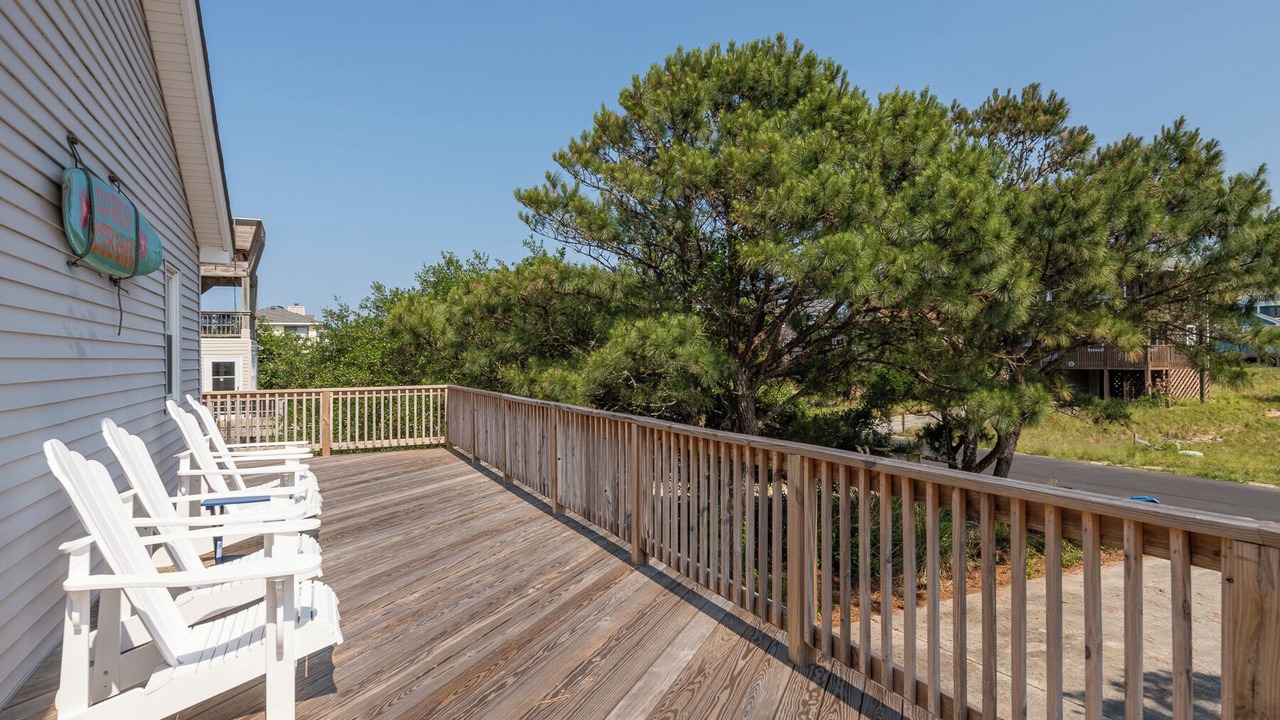 Photo of Others in Carolina Dunes