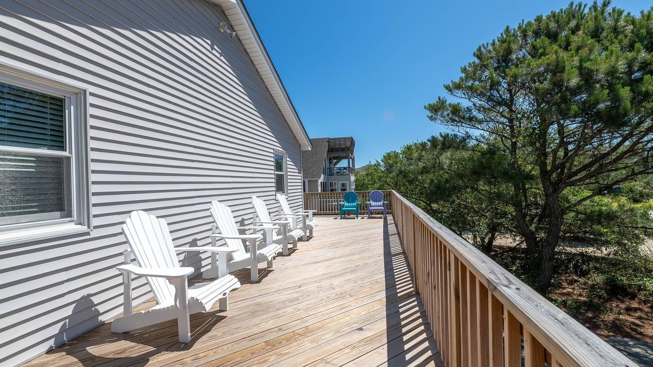 Photo of Others in Carolina Dunes