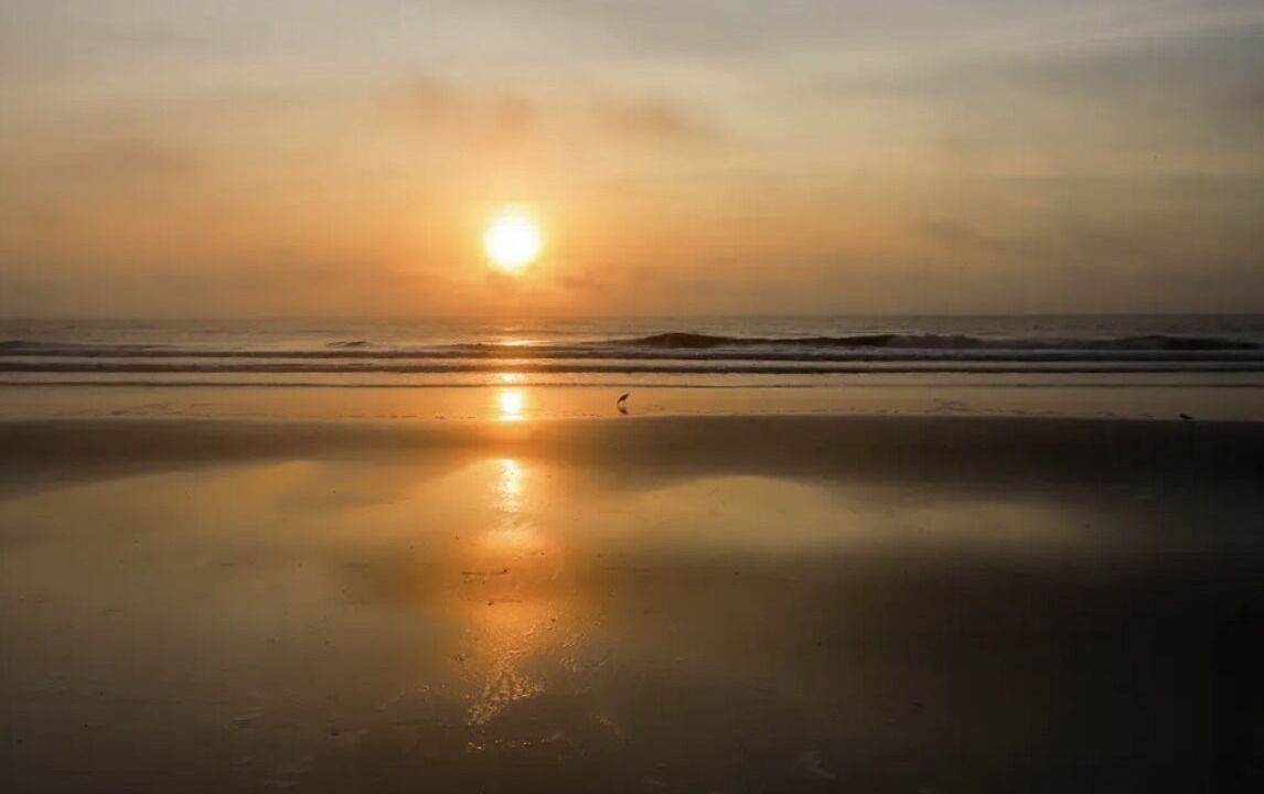 Photo of Others in Crescent Beach
