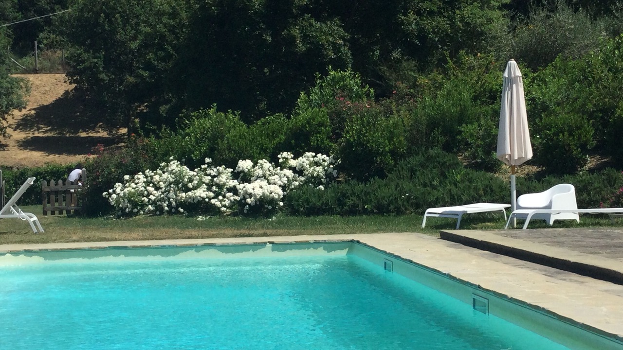 Photo of Outdoor in Londa