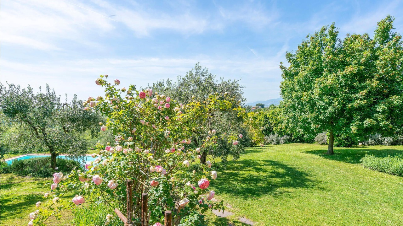 Photo of Outdoor in Lari