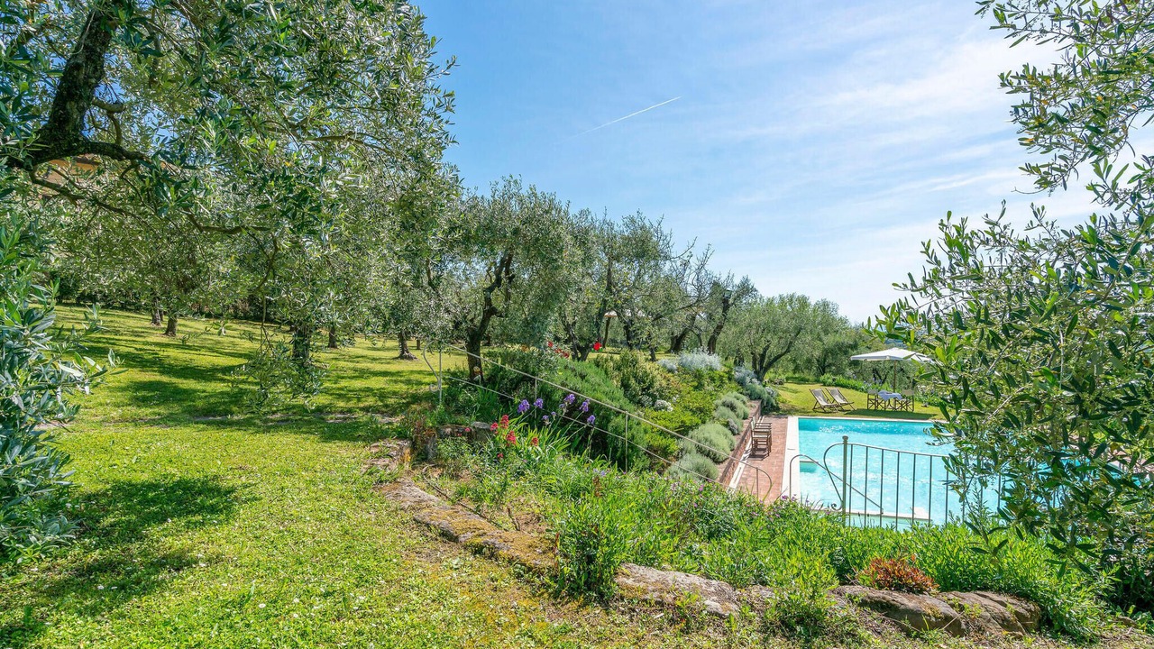Photo of Outdoor in Lari