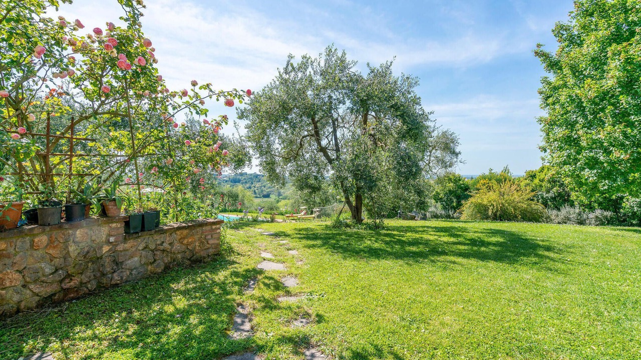 Photo of Outdoor in Lari
