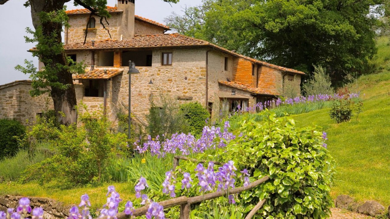 Photo of Outdoor in Pelago