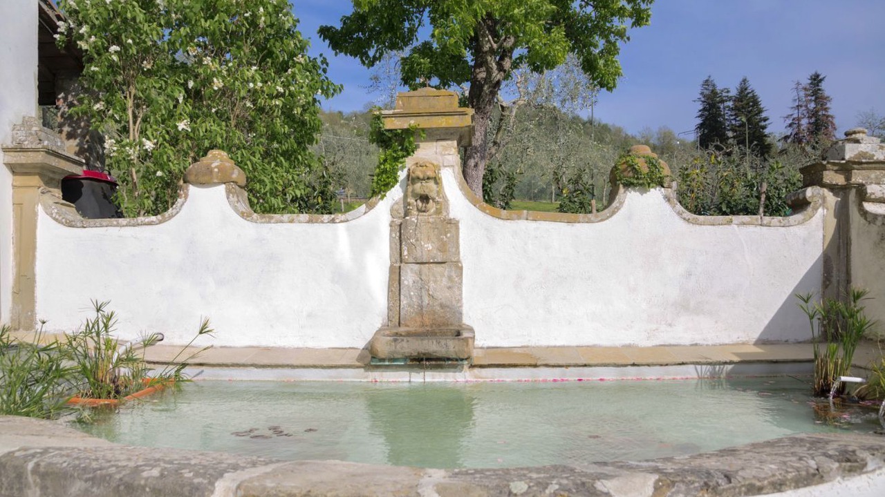 Photo of Outdoor in Pelago