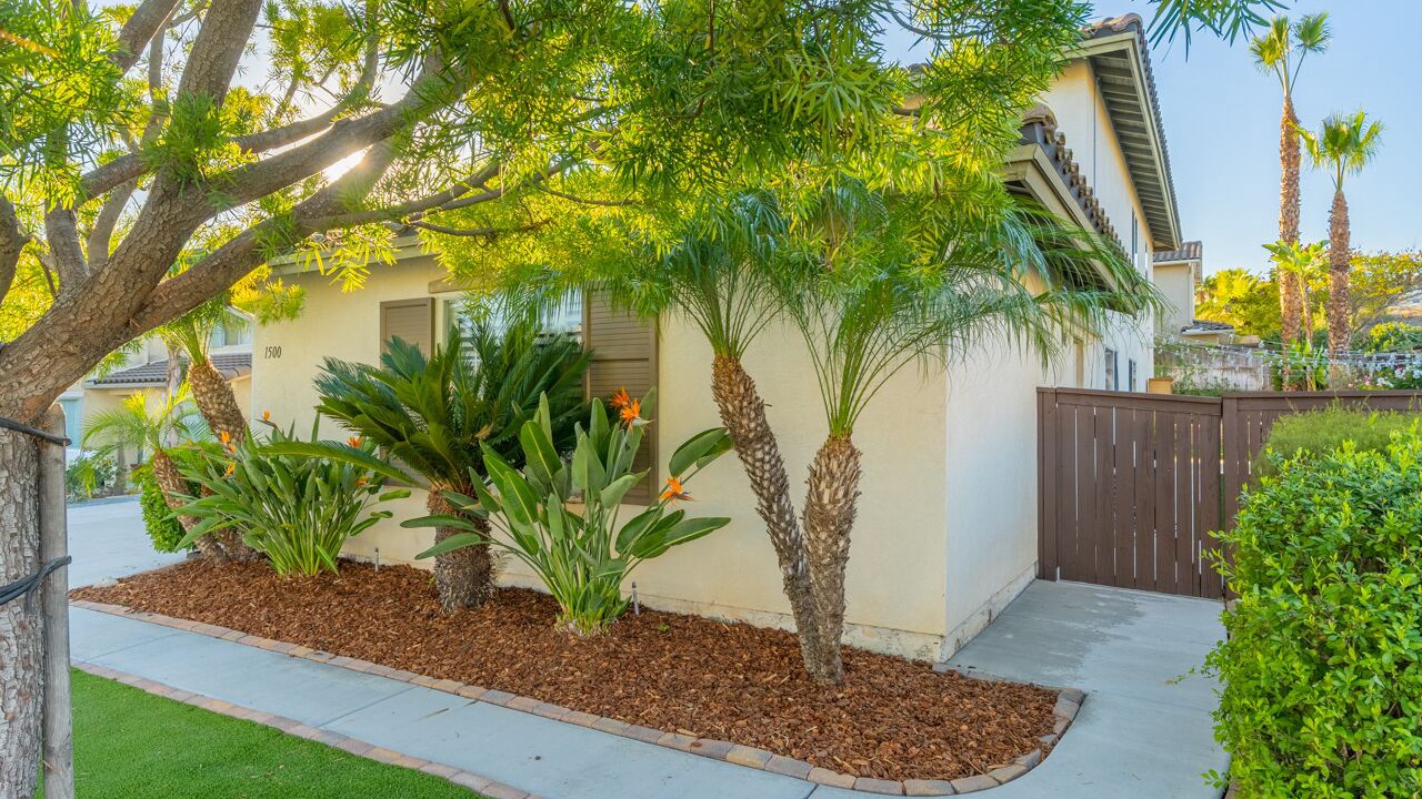 Photo of Outdoor in Otay Ranch