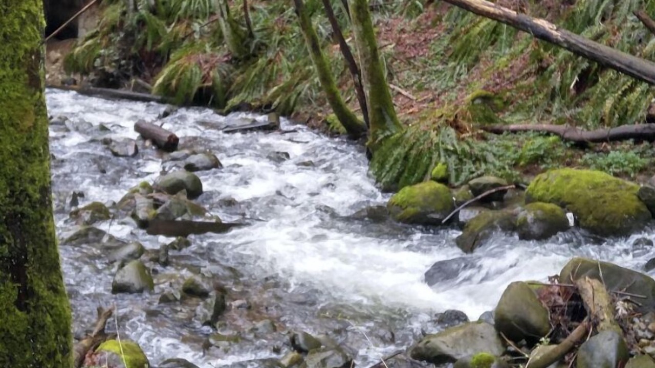 Photo of Outdoor in Central Lonsdale