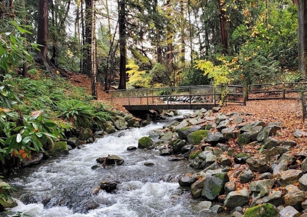 Photo of Outdoor in Central Lonsdale