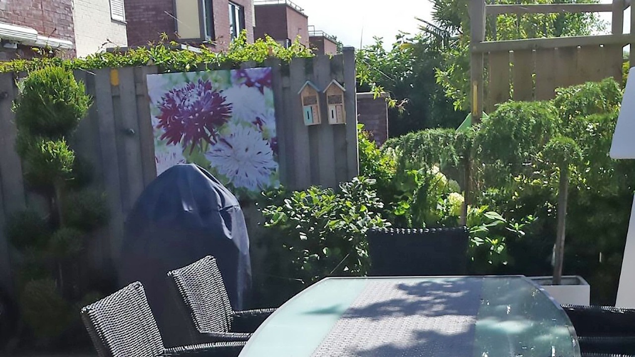 Photo of Outdoor in Alkmaar