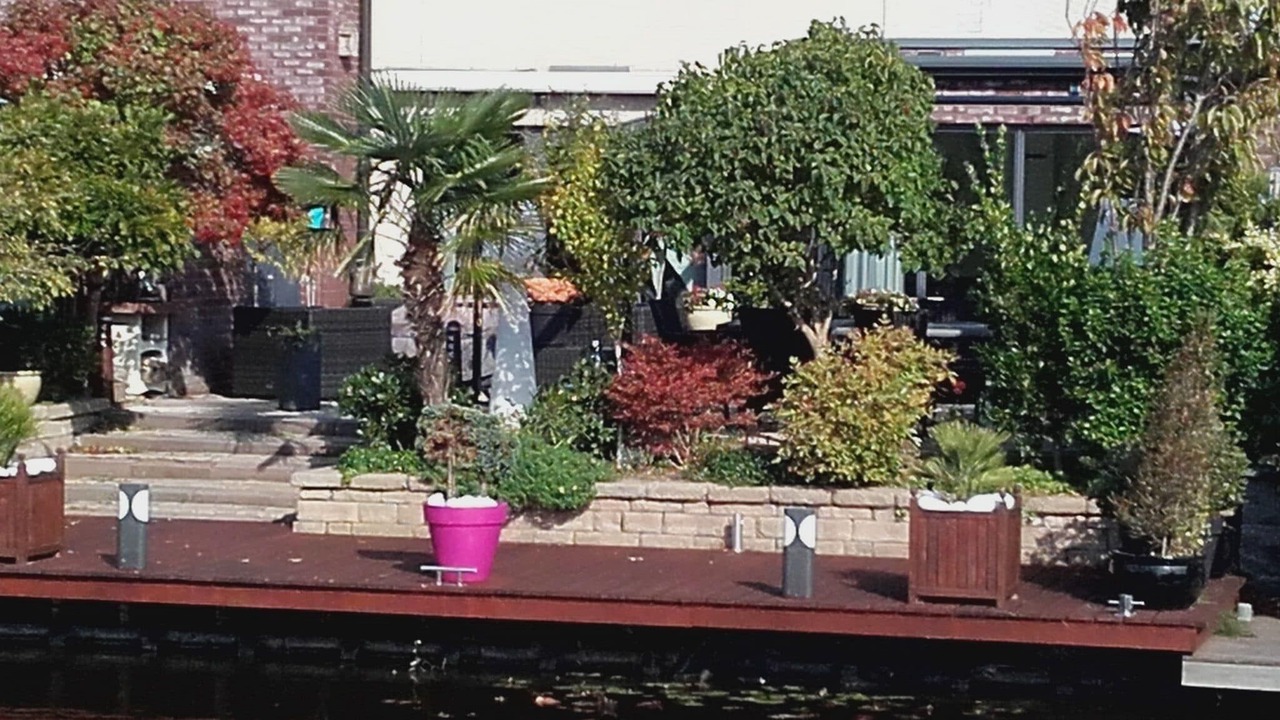 Photo of Outdoor in Alkmaar