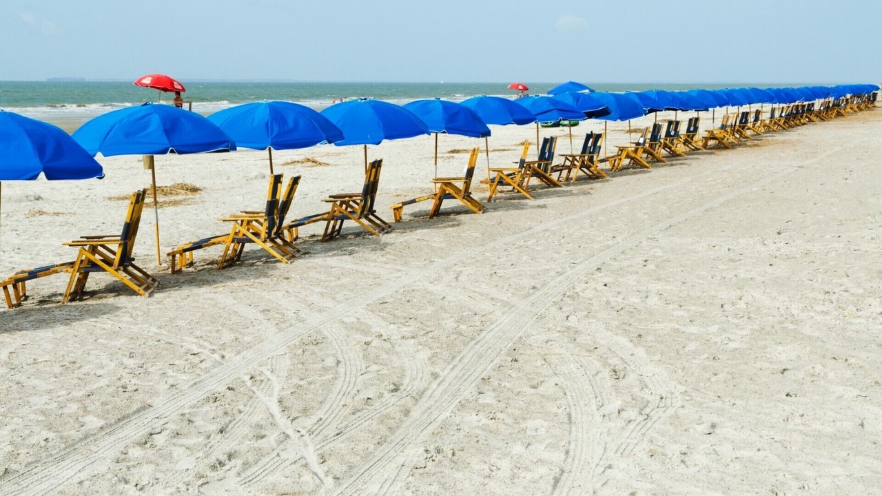 Photo of Others in Harbour Town