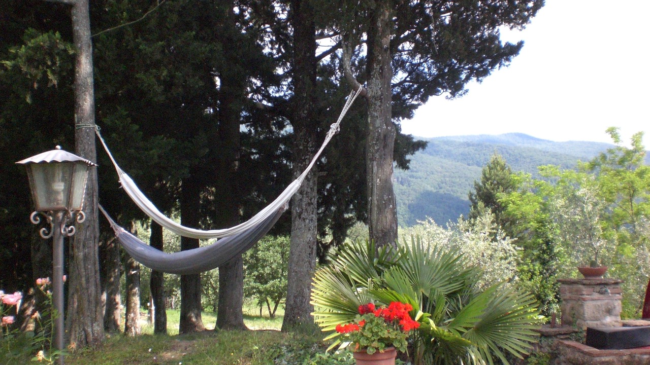 Photo of Outdoor in San Godenzo